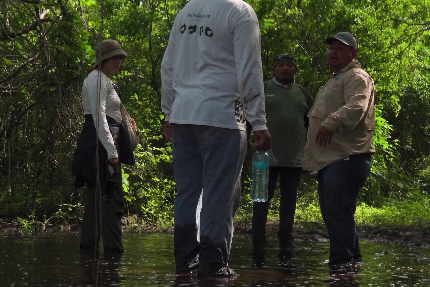 Monitores en un humedal inundado
