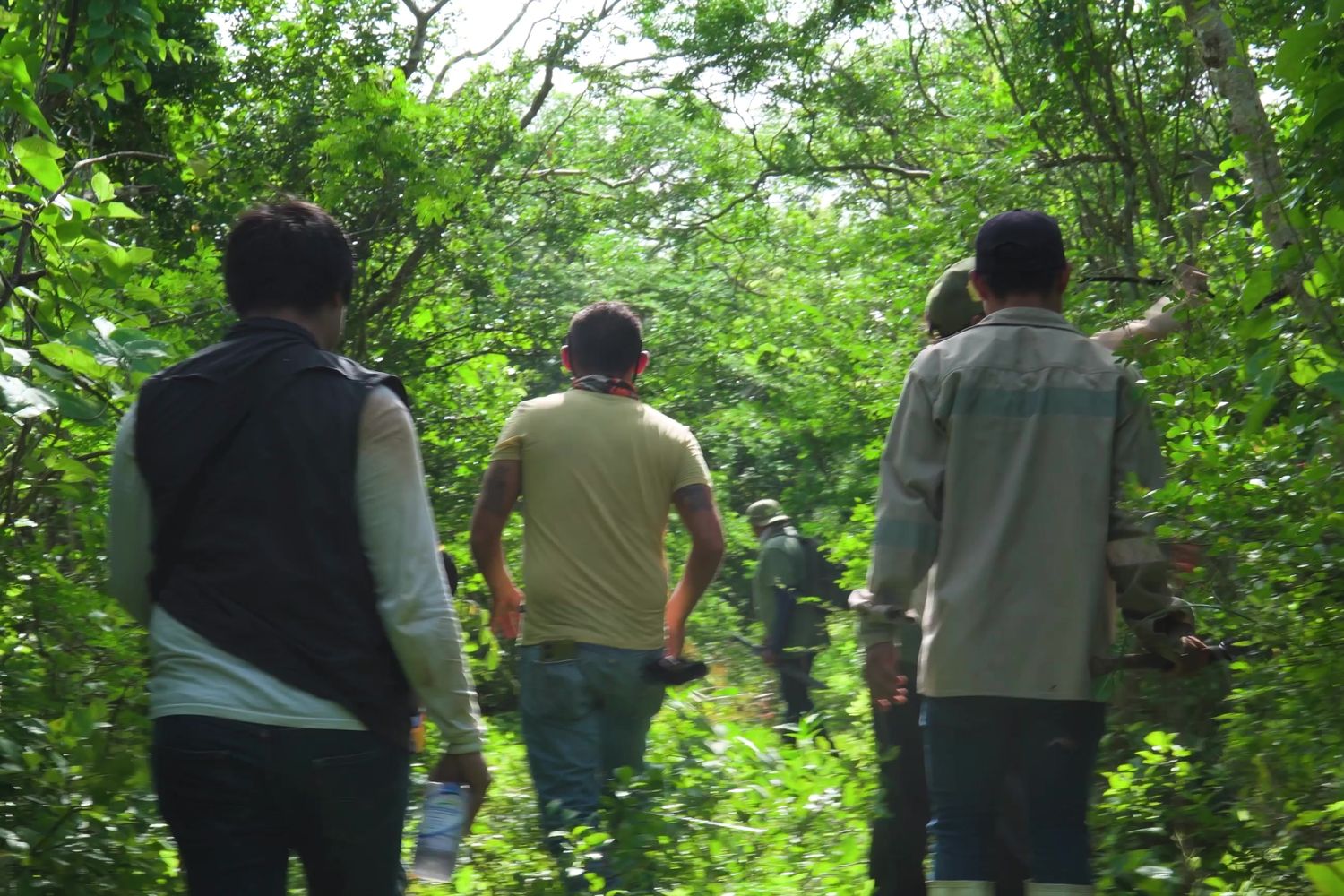 Equipo caminando en fila por la selva