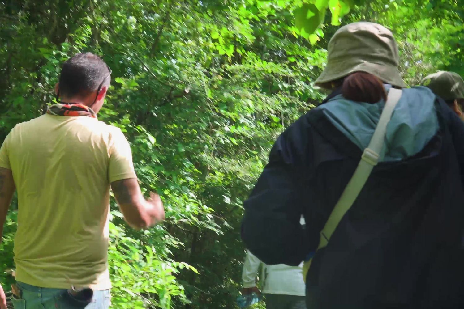Field team walking through the forest