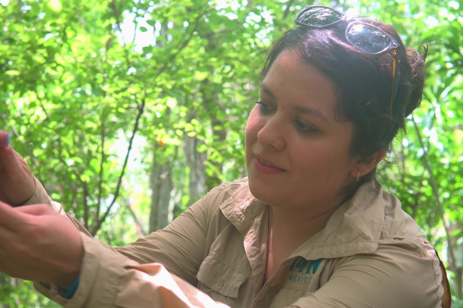 Daniela Pérez checks a camera trap