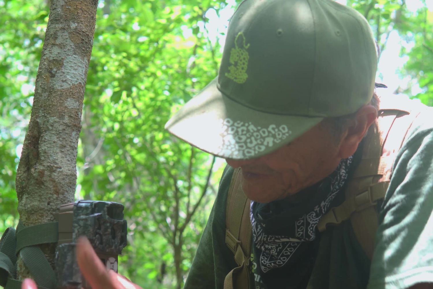Juan Castillo checks a camera trap strapped to a tree