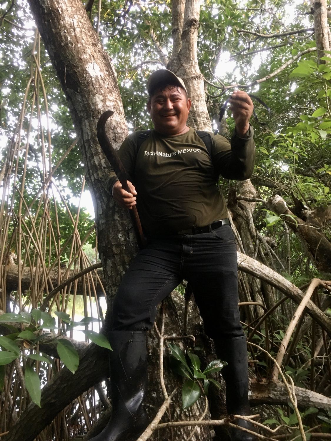 Smiling community monitor standing on mangrove roots