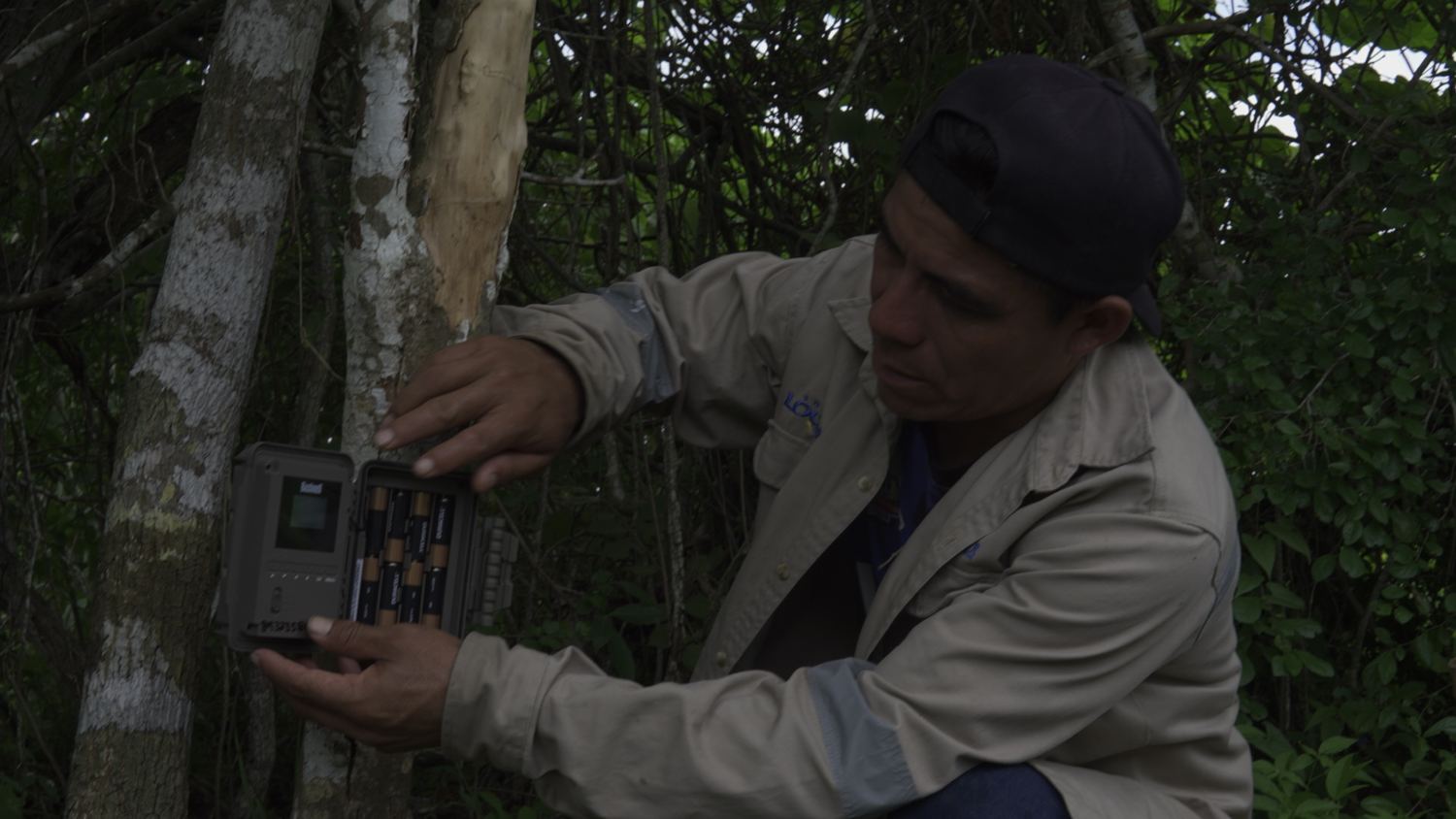 Mateo Ordóñez cambia las baterías de una cámara trampa
