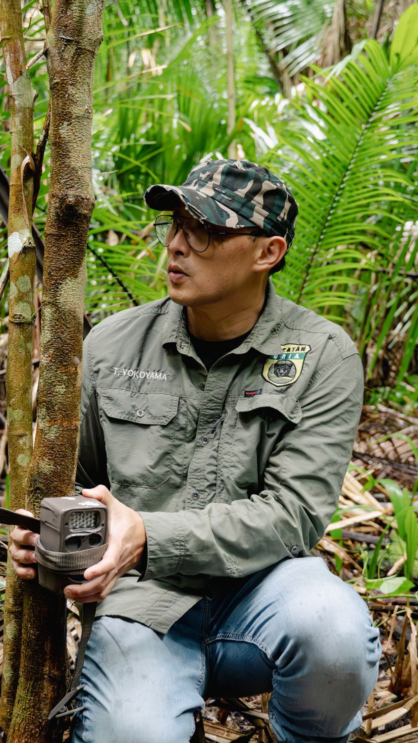 Toshio Yokoyama sujeta una cámara trampa a un árbol en la selva