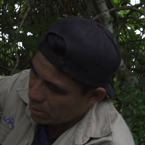 Retrato de Mateo Ordóñez