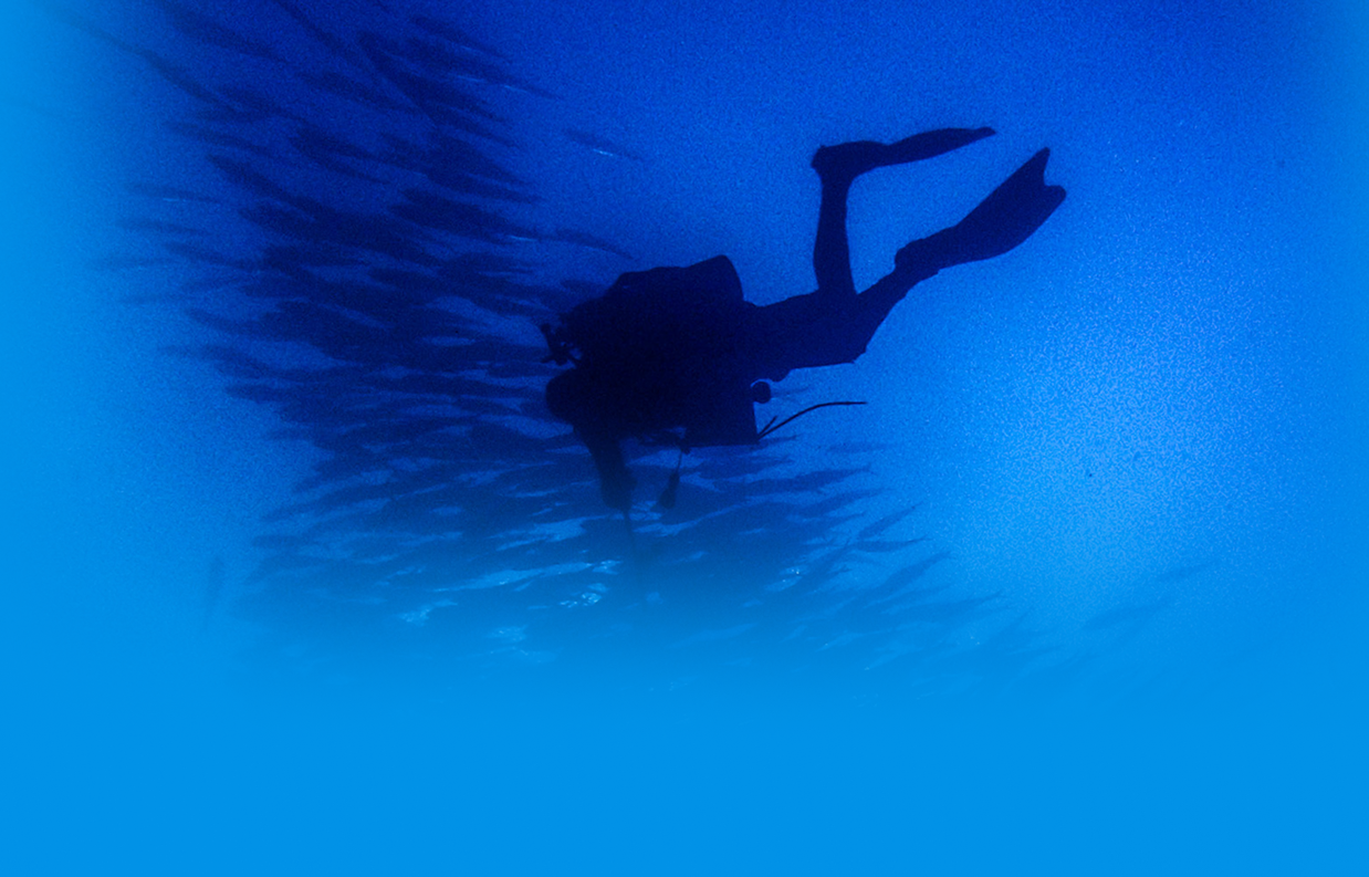 Vital Oceans